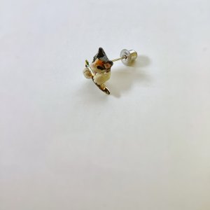 画像3: 焼魚定食Ａ